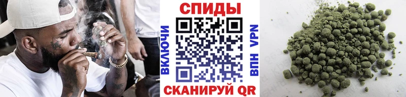 БУТИРАТ BDO 33%  Балахна 
