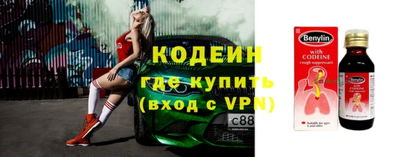 хмурый Алексин