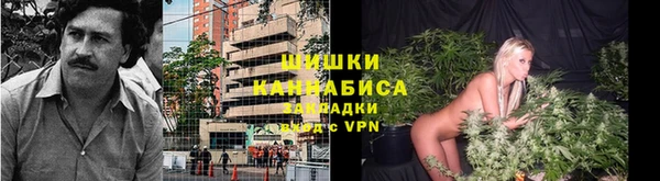 мяу мяу мука Рославль
