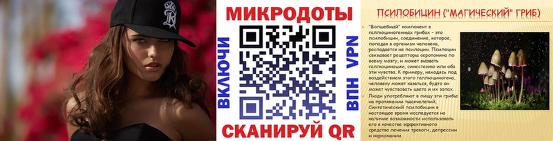 сайты даркнета официальный сайт  Балахна  Псилоцибиновые грибы мицелий 
