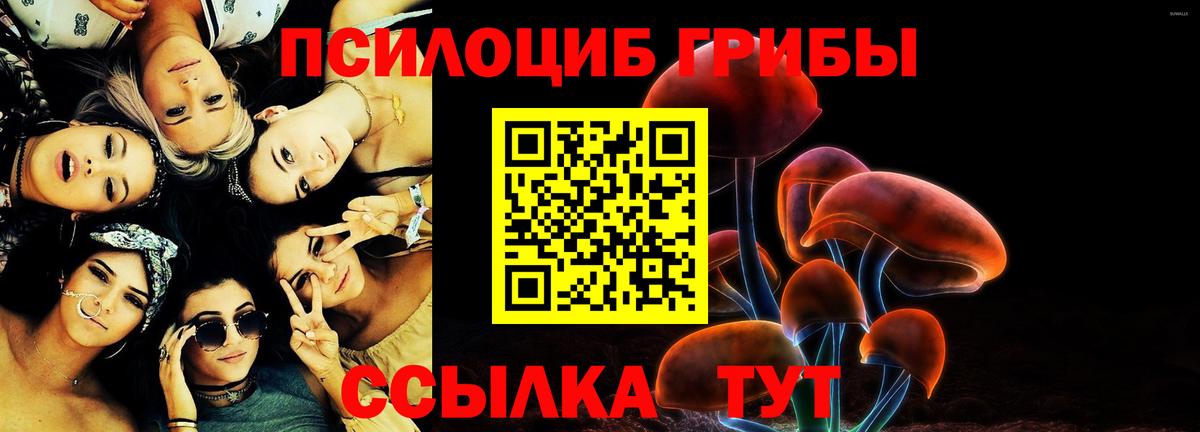 где найти наркотики  Псилоцибиновые грибы прущие грибы  Вход с VPN  Балахна 